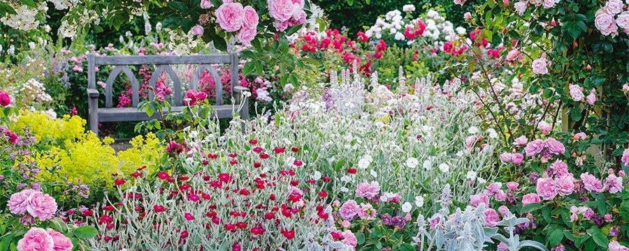 Chelsea Flower Show